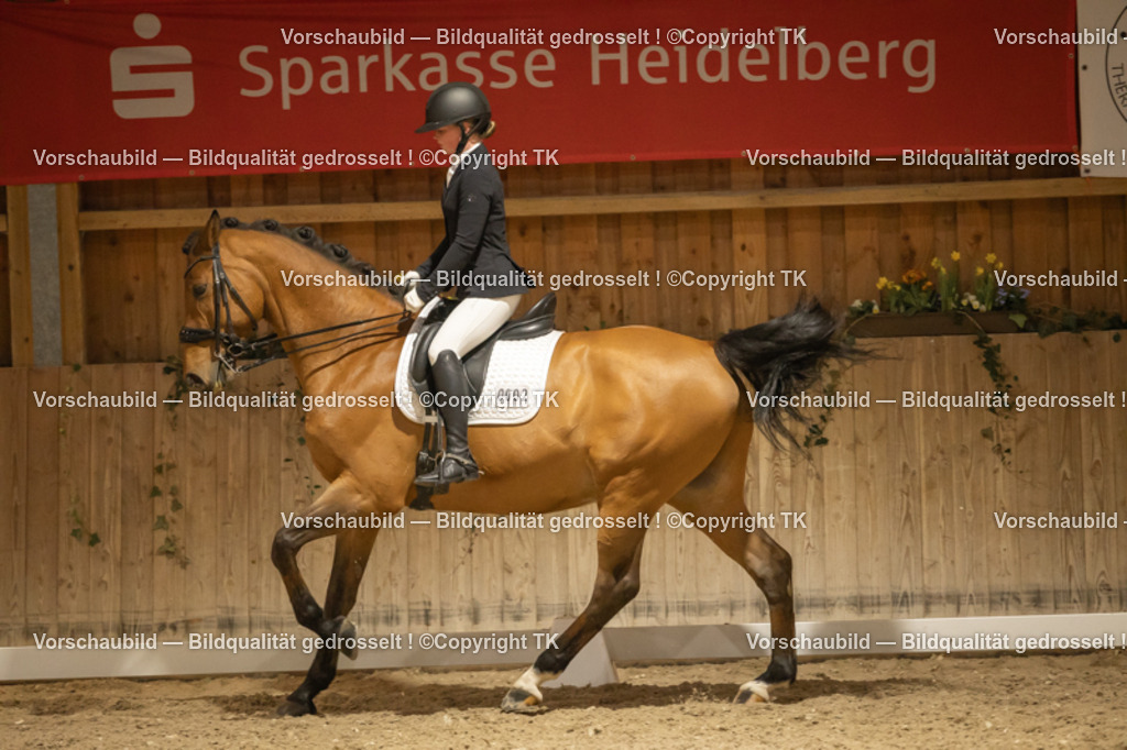 _D5A3982 | Emotionale Pferde- & People-Fotografie rund um Heidelberg, Leimen & Umgebung. Natürliche Fotos von Pferd, Mensch & Familie. Jetzt Termin sichern!