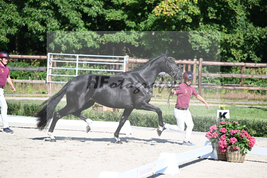 Kat-Nr. 14 Dacosa_Schleier GbR_36230778 | hf-fotografie - Realisiert mit Pictrs.com
