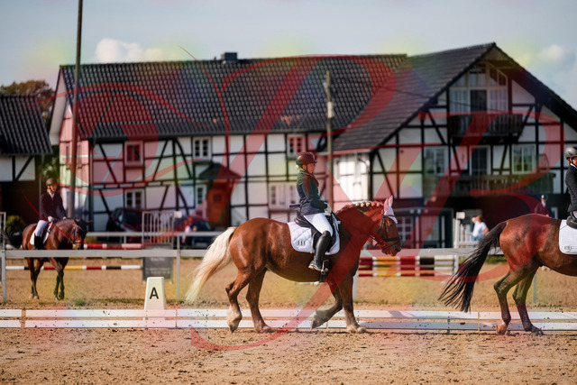 2026_10_03_Siefer-Hof_130502_Z63_68319031 | Professionelle Reitsport-, Turnier- und Eventfotografie von Robert Broda. Galerien mit ausgewählten und bearbeiteten Bildern direkt online ansehen und bestellen.