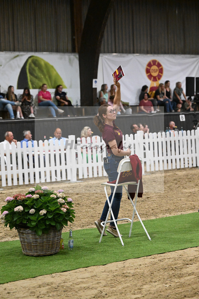 Auktion Big Chance_36230523 | hf-fotografie - Realisiert mit Pictrs.com