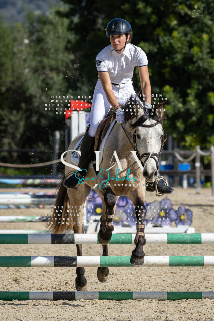 IMG_5935 | s-jay-photography - Realisiert mit Pictrs.com