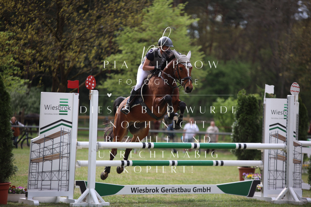 IMGT1883 | pl-fotografie