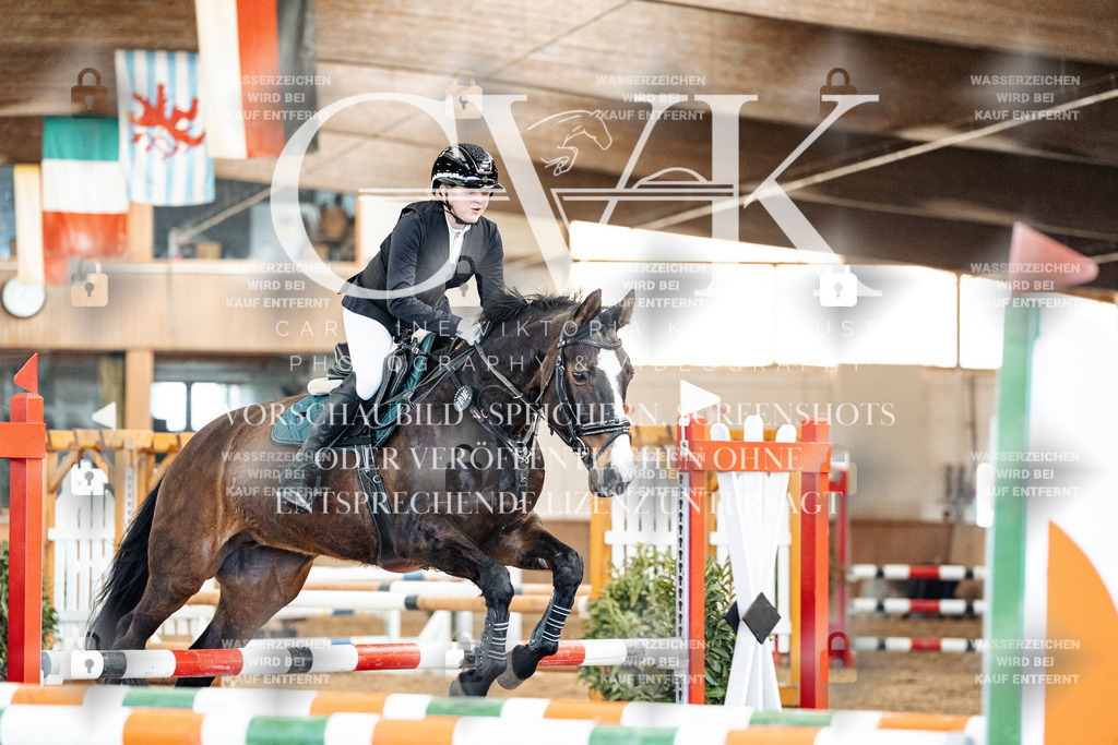 CK905353 | Turnierfotografie Pferdefotografie Trier Rheinland-Pfalz Pferdesport Reitsport Tierfotografie Sportfotografie Pferdevideo Pferdevideografie Equestrianvideography equestrianphotography  - Realisiert mit Pictrs.com