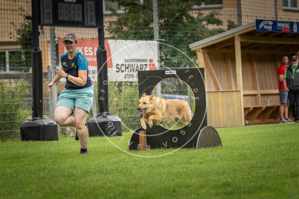 Pfotenfotografie_DV3A5443 | Hundefotografie, Tierfotograf, Pfotenfotografie, Fotoshooting Hund, Hunde Portrait, Hundesport, Hundeportraits, Heideshooting, Hunde, Sportfotograf, Hundefotograf, Turnierhundsport, THS,  - Realisiert mit Pictrs.com