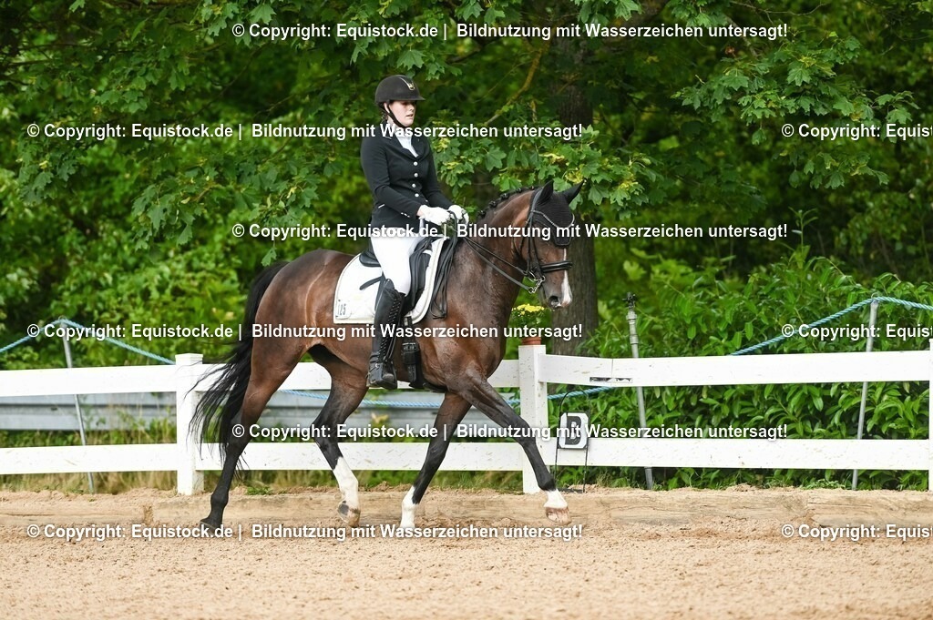 20230716_01_Dressurprüfung Kl.M_0508 | equistock