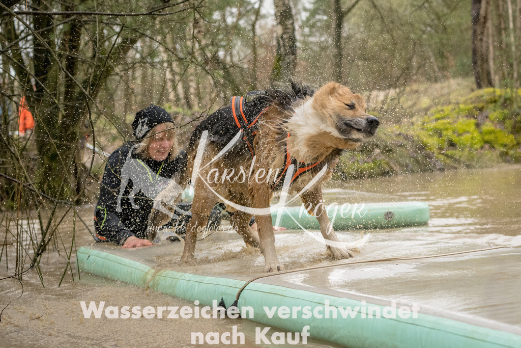 1333_ZZ90921-Bearbeitet | kk-dogfotos