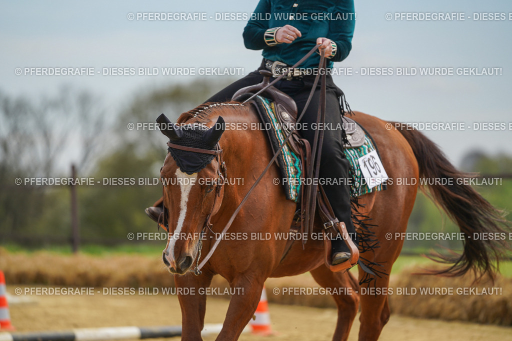 DSC03609 | Pferdegrafie