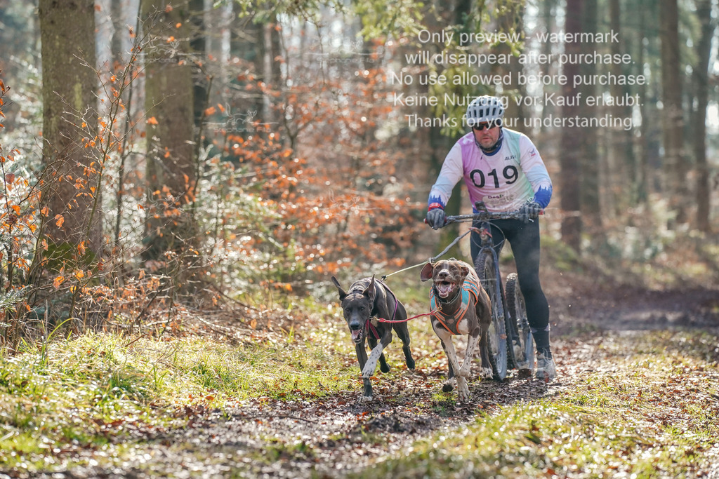 So_Scooter_2-4 | stephaniefillaphotographie - Realisiert mit Pictrs.com