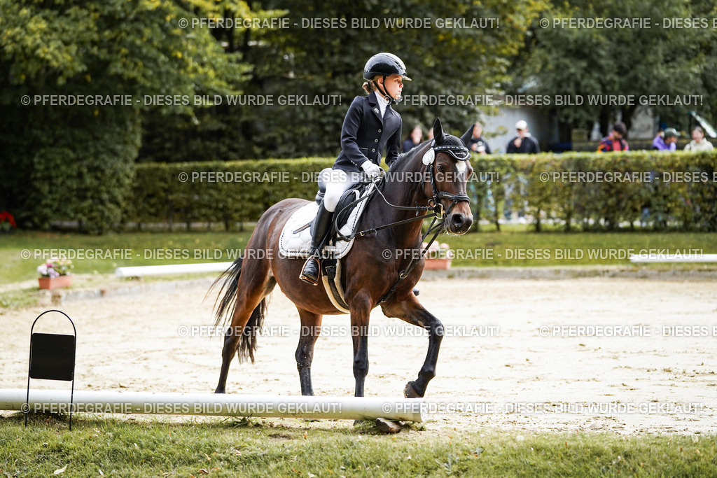 DSC05549 | Pferdegrafie