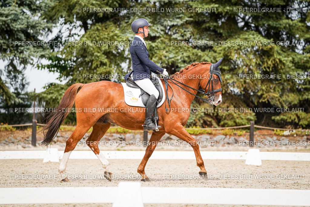 DSC06946 | Pferdegrafie