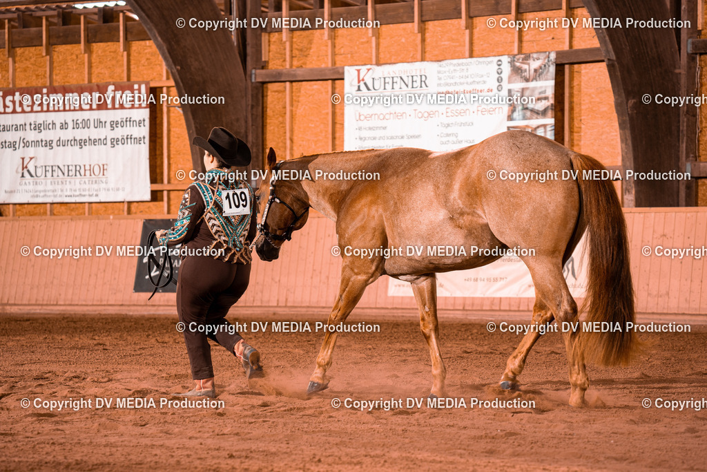 NE100084 | dv-media-shop - Realisiert mit Pictrs.com