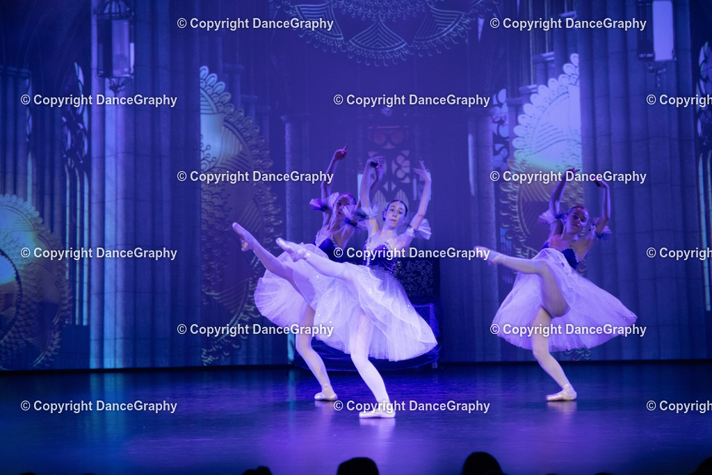 GPHY1542 | DanceGraphy - Realisiert mit Pictrs.com