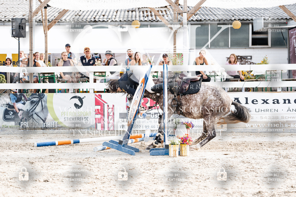 CK907035 | Turnierfotografie Pferdefotografie Trier Rheinland-Pfalz Pferdesport Reitsport Tierfotografie Sportfotografie Pferdevideo Pferdevideografie Equestrianvideography equestrianphotography  - Realisiert mit Pictrs.com