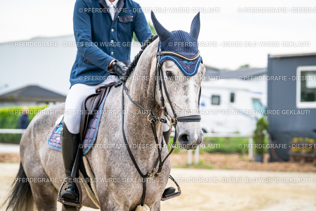 DSC09198 | Pferdegrafie