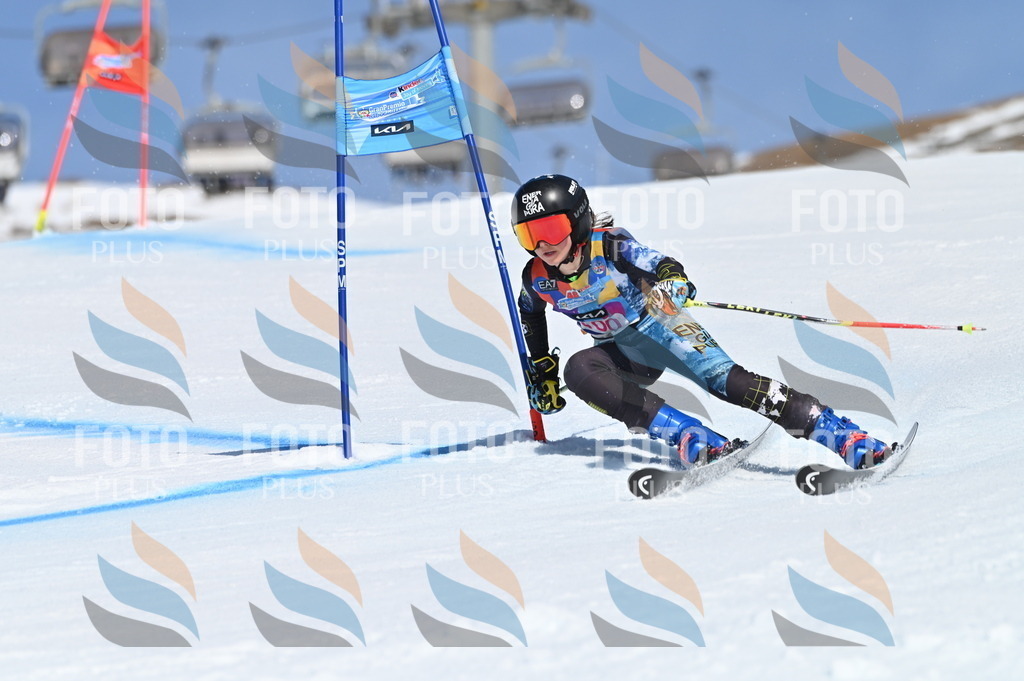 BGV_9454 | holidayphoto