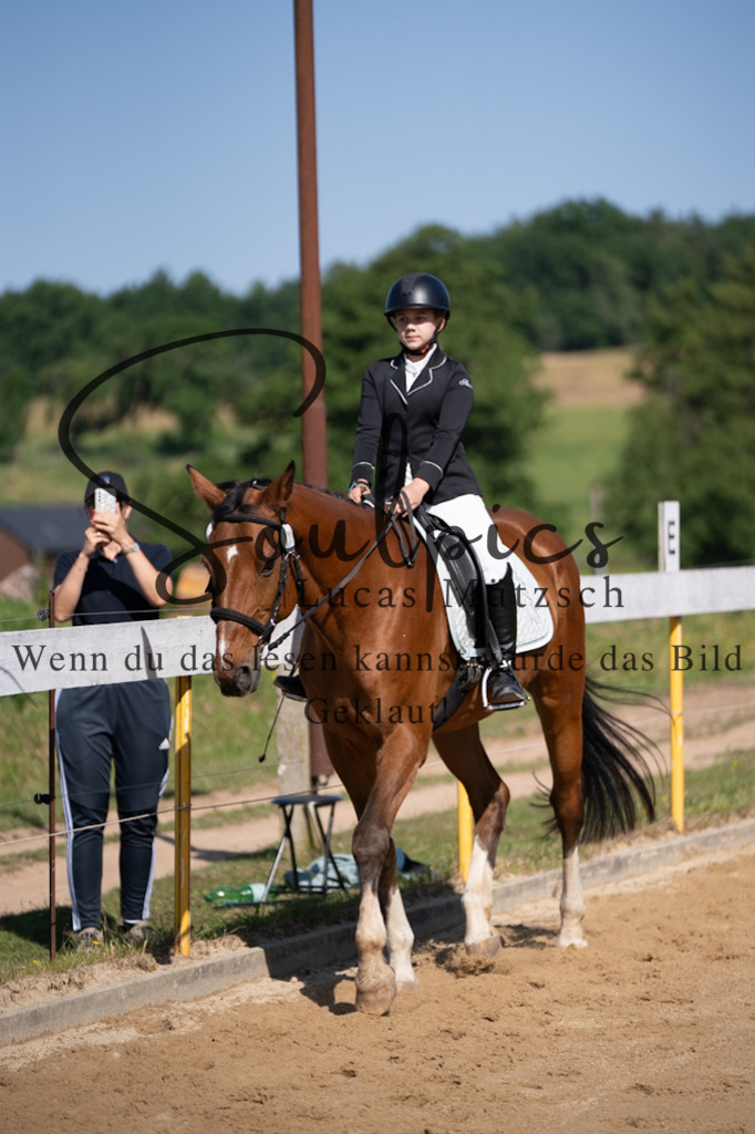 A7V07665 | Pferdefotograf