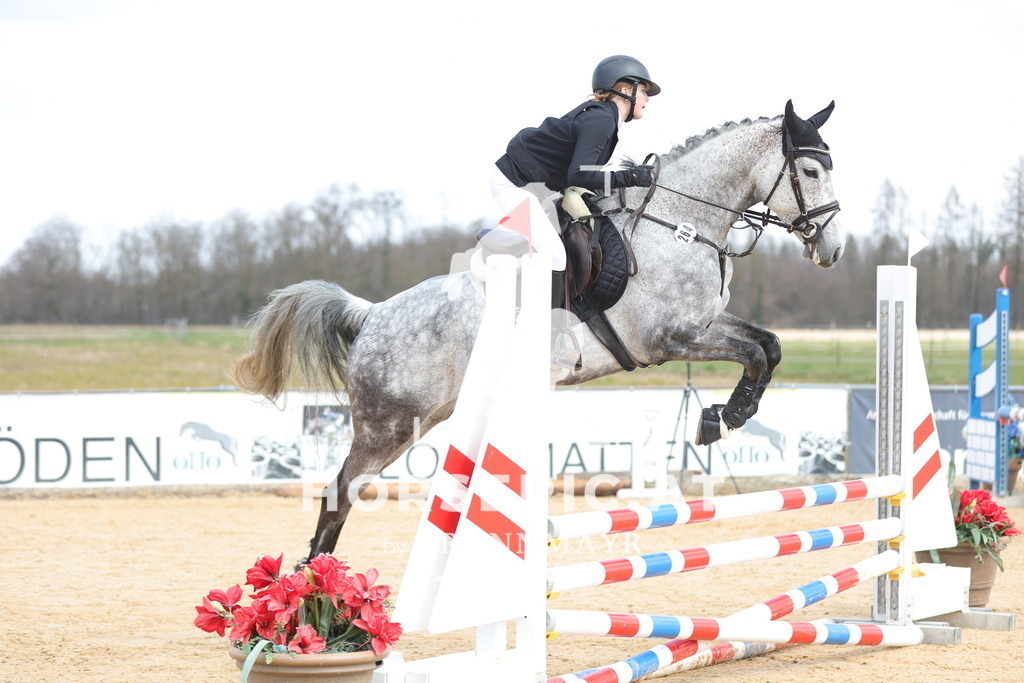 0P6A7379 | Willkommen bei Brunnmayr - Design & Fotografie – Ihrem Spezialisten für Reitturniere und Pferdeveranstaltungen in Oberösterreich, Salzburg und Bayern! Seit über 17 Jahren sind wir leidenschaftlich dabei.