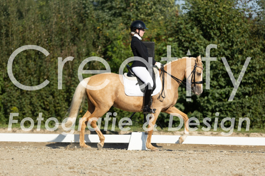 IMG_0939 | Creatify Fotografie