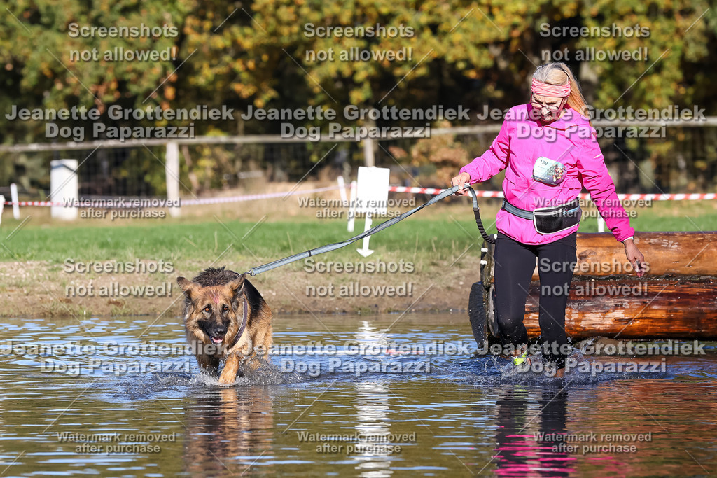 Dog Paparazzi - Strongdog 10-25-8821 | Dog Paparazzi Jeanette Grottendiek Fotografie & Videografie - Realisiert mit Pictrs.com