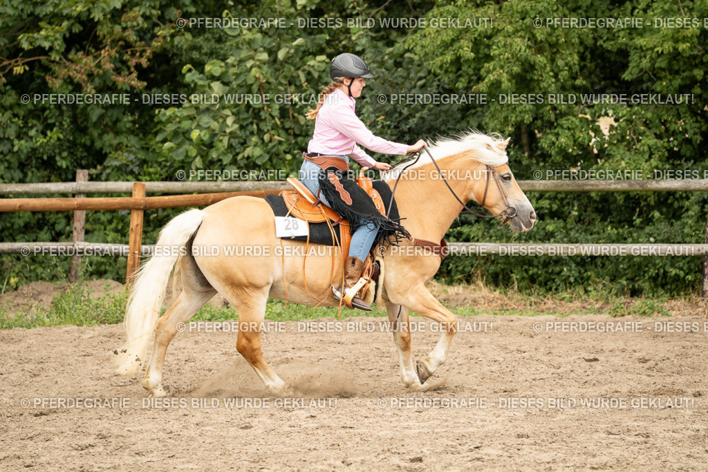 DSC00744 | Pferdegrafie