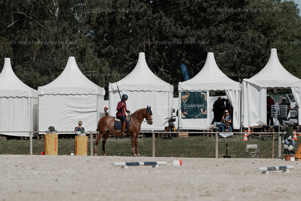 WE_ST_Stoib_342_PI2025_1418 | 330Pferd International München 2025