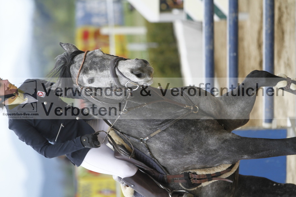 _MG_6586 | equestrian-live-com