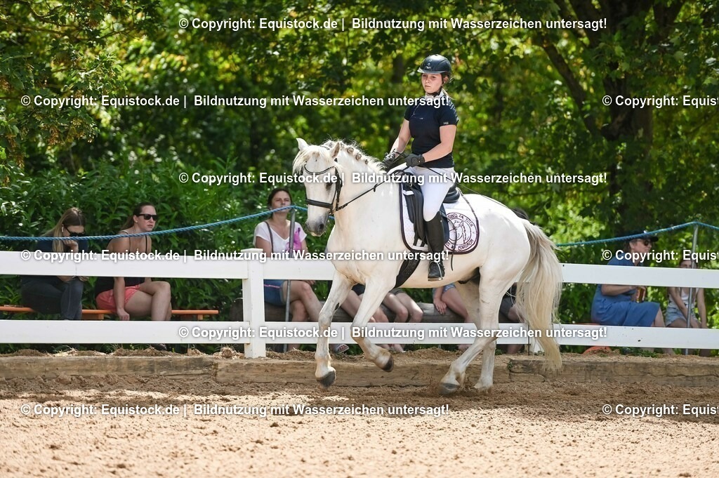 20230715_09_Dressur-WB_0084 | equistock