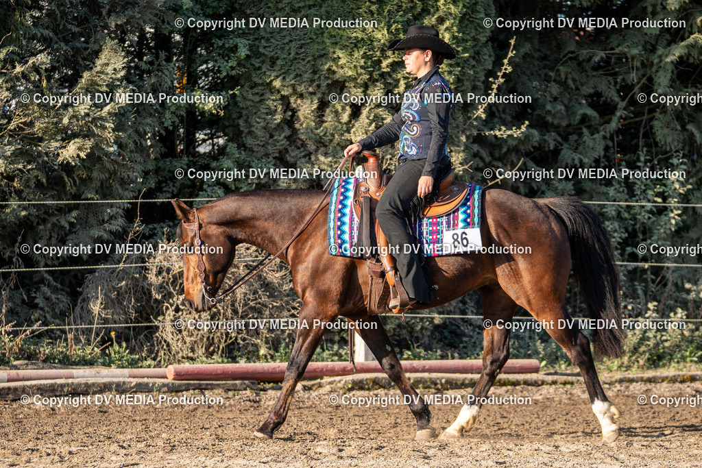 Balingen Tag 2-202 | dv-media-shop - Realisiert mit Pictrs.com