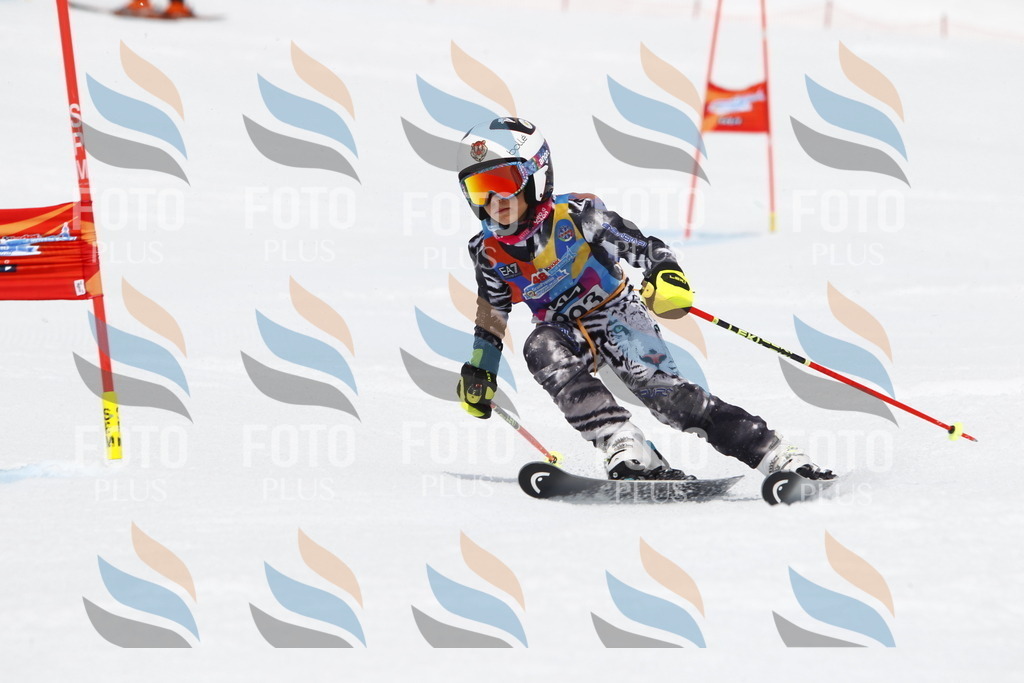 _U3G7318 | holidayphoto