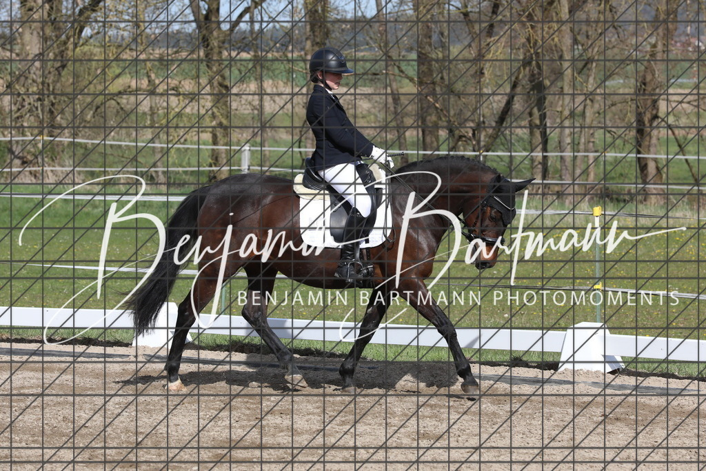 AZ2A3065 | Benjamin Bartmann Photomoments