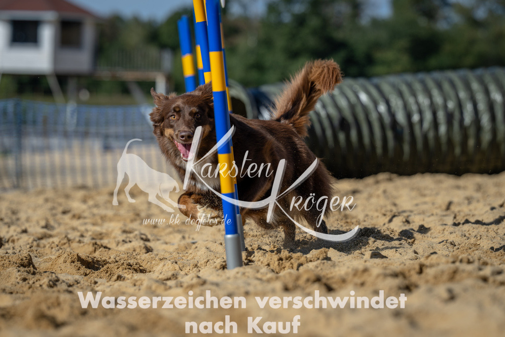 1233_ZZ93362-2 | kk-dogfotos