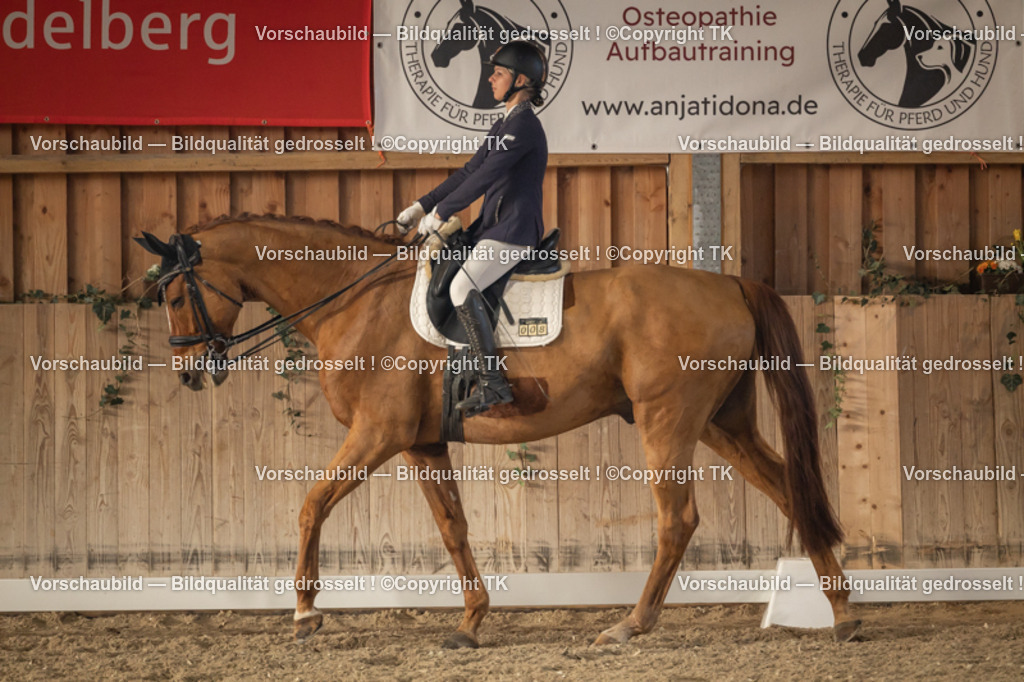 _D5A3266 | Emotionale Pferde- & People-Fotografie rund um Heidelberg, Leimen & Umgebung. Natürliche Fotos von Pferd, Mensch & Familie. Jetzt Termin sichern!