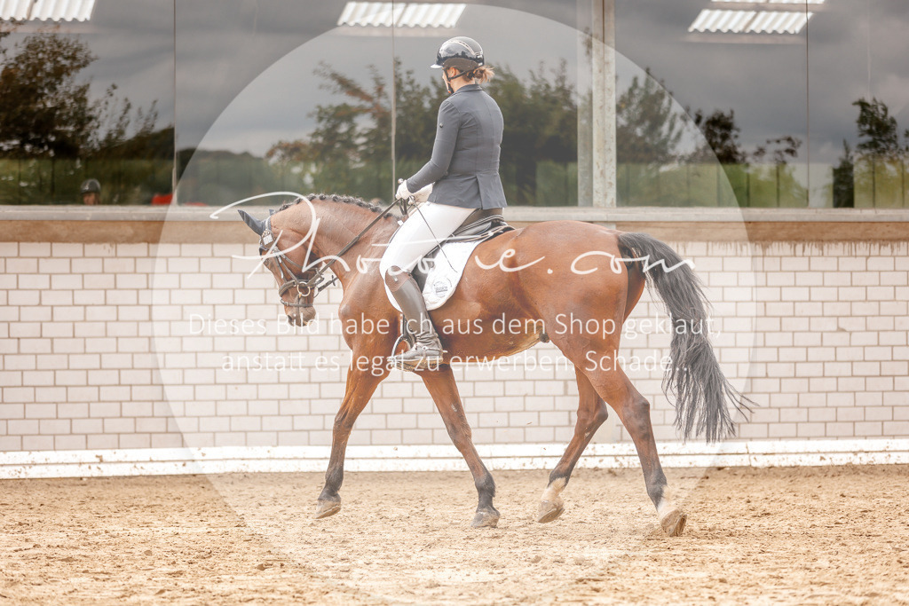 3I6A7761 | Stimmungsvolle Portraits und Reitsportfotografie im Ruhrgebiet und im Münsterland.

Pferdefotografie, Hundefotografie, Tierfotografie, Reportagen, Portraits von Tier und Mensch, Turnierfotografie in Bochum, Recklinghausen, Marl, Haltern am See, Dülmen.. - Realisiert mit Pictrs.com
