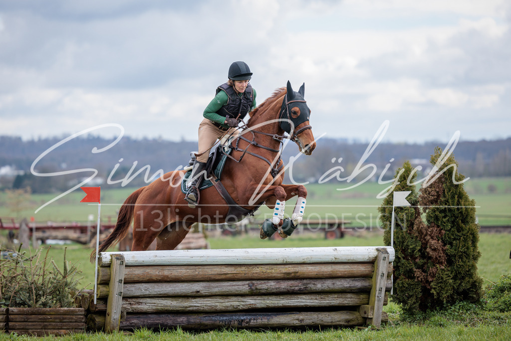 20260329-_3LI5049 | Tierfotografie Pferde, Hunde, Katzen, Haustiere.
Turnierfotografie Reitturniere, Reiten, Springreiten, Dressur in Hanau, dem Main-Kinzig-Kreis und dem Rhein-Main- Gebiet um Frankfurt