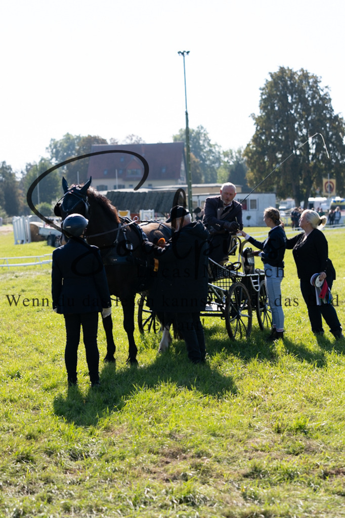 A7V04290 | Pferdefotograf