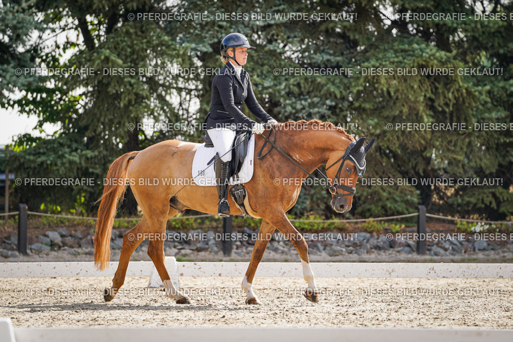 DSC06951 | Pferdegrafie