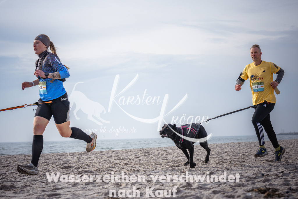 1016_ZZ94535 | kk-dogfotos