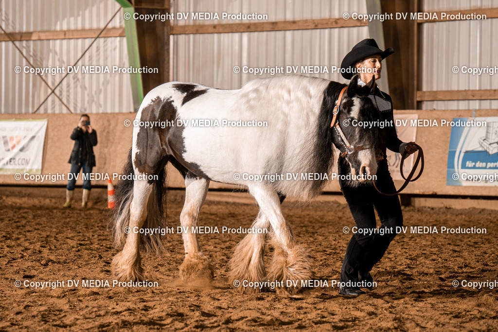 BAL01286 | dv-media-shop - Realisiert mit Pictrs.com