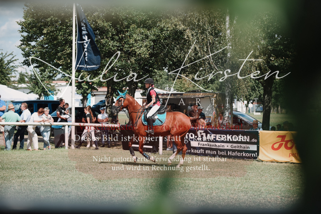 DSC_5764 | Pferde- und Turnierfotografie in Westsachsen. Pferdeportraits, Auftragszeichnungen und intuitive Kunst.
