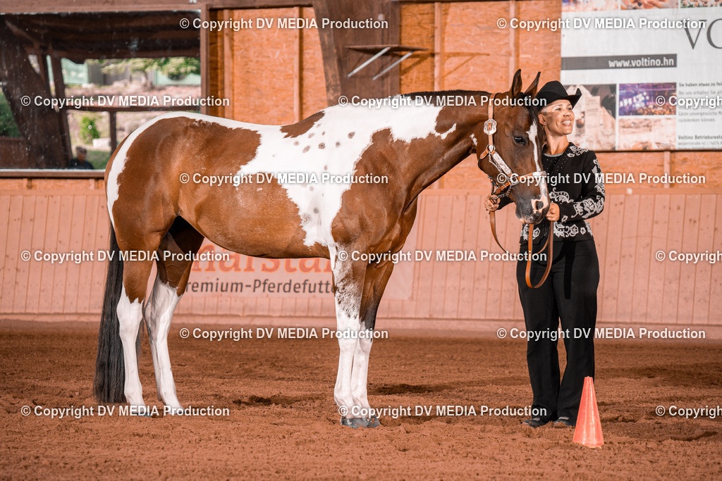 NE200051 | dv-media-shop - Realisiert mit Pictrs.com