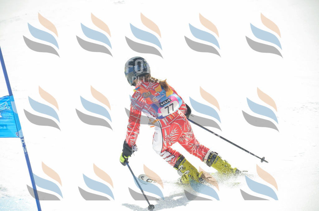 _ELE5519 | holidayphoto