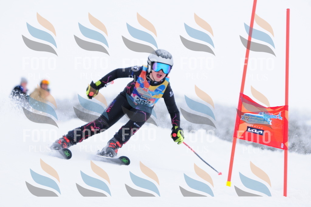 C2974 | holidayphoto