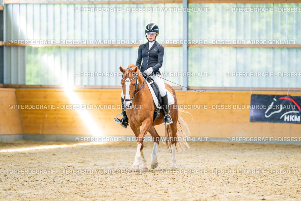 DSC08125 | Pferdegrafie