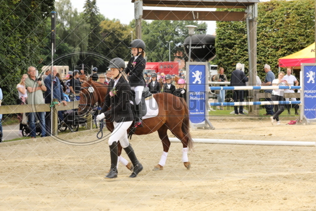 IMG_5044 | photographesa-joergens - Realisiert mit Pictrs.com