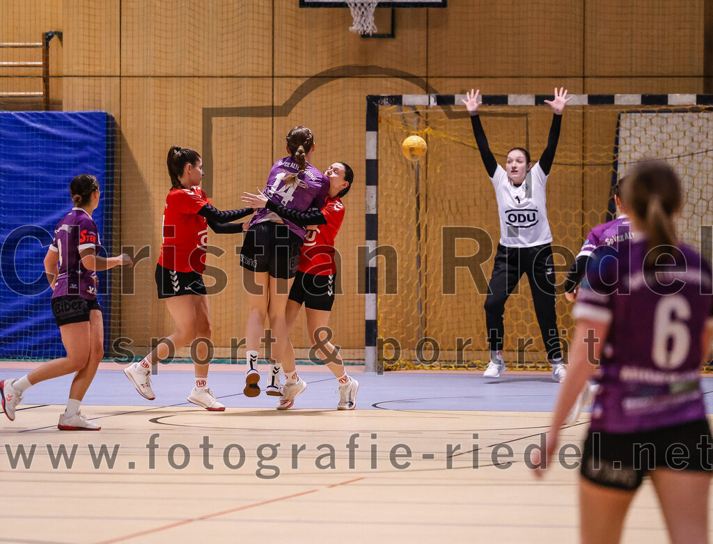 2025-01-18_091_SpVgg_Altenerding_gegen_TV_Altoetting | Erding, Deutschland, 18.01.2025:Handball, Bezirksoberliga Frauen Altbayern 2024 / 2024, 11. Spieltag, SpVgg Altenerding gegen TV Altötting, Endergebnis: 19:24Lena Prem (SpVgg Altenerding, #8), Sophie Lößl (SpVgg Altenerding, #14), Torfrau Verena Maier (TV Altötting, #1)Foto: Christian Riedel / fotografie-riedel.net