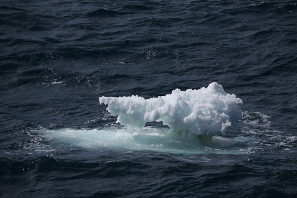 IMG_8898 | Antarktis / Antarctica - Realisiert mit Pictrs.com