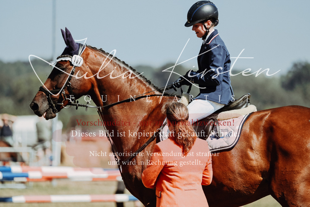 DSC_0104 | Pferde- und Turnierfotografie in Westsachsen. Pferdeportraits, Auftragszeichnungen und intuitive Kunst.