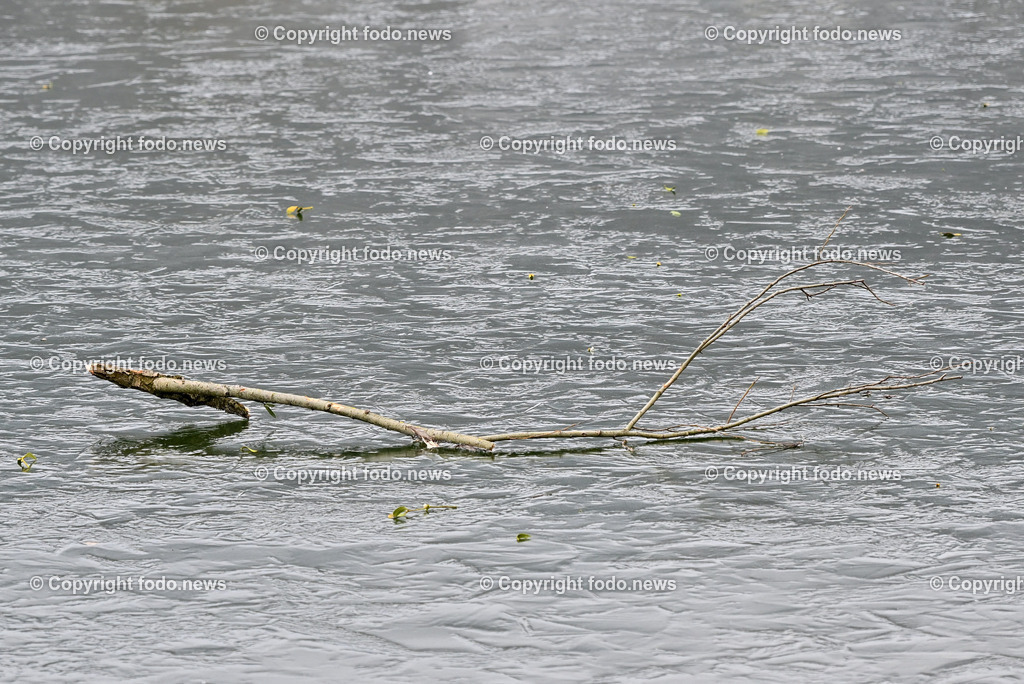 Pleschinger See_ Winter_ 13.01.2024-10 | 13.01.2024, Plesching, AUT, Pleschingersee, Winter, im Bild duenne Eisschicht, Ast, Holz