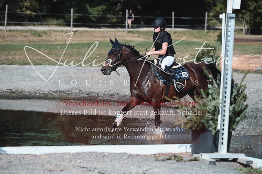 DSC_8676 | Pferde- und Turnierfotografie in Westsachsen. Pferdeportraits, Auftragszeichnungen und intuitive Kunst.