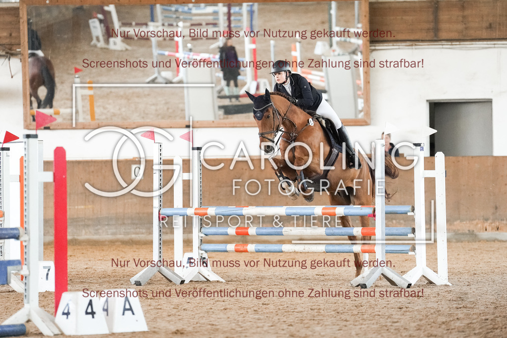 DSC09819 | Reitturnier_Göppingen_April_2026, Anna_Marlin_Stollwerck, Sheamus_HR